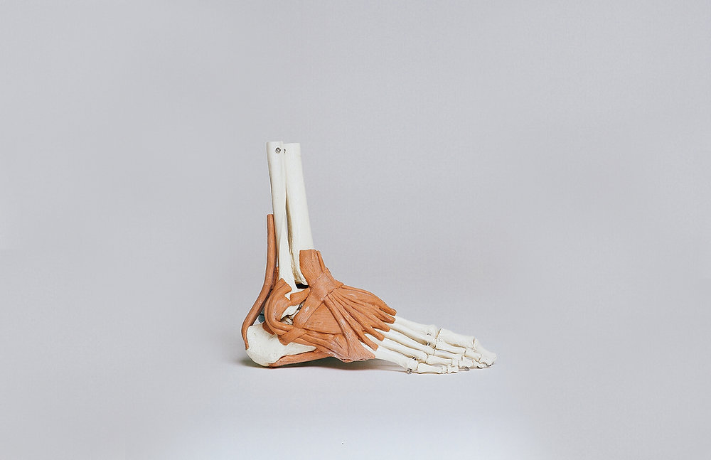 Ayağımızın Anatomisi